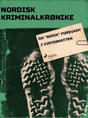cover image of Da "Skrik" forsvant i vinternatten